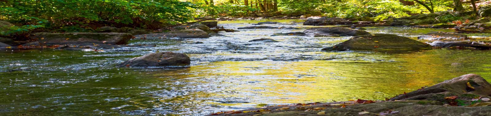 Water Sampling and Analysis